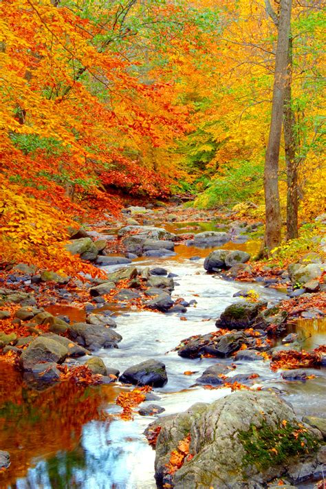 autumn scenic pictures|bing images autumn landscape.